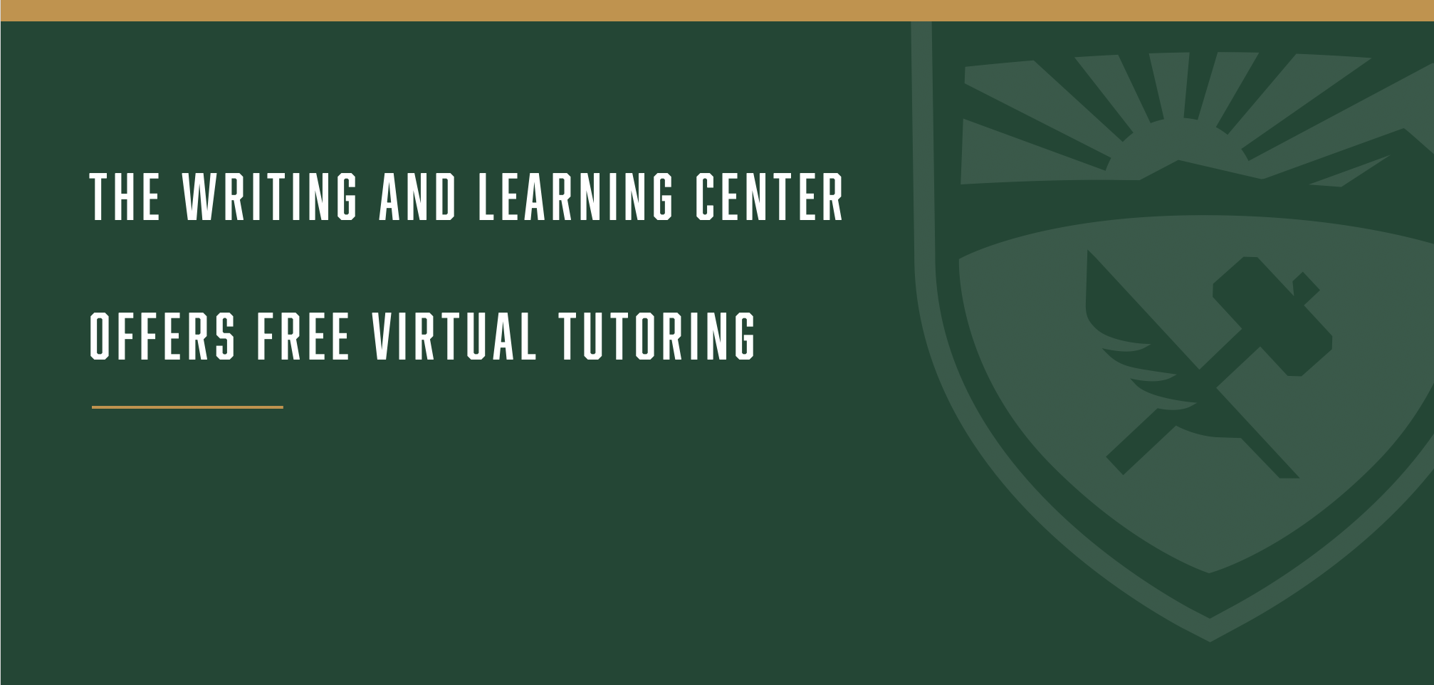 Physics Tutoring The Physics Learning Center Physics Department